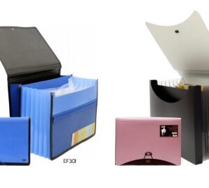 Document Expanding File